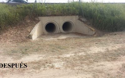 MEDIDAS ANTE LA POSIBILIDAD DE LLUVIAS CON LA LLEGADA DEL OTOÑO