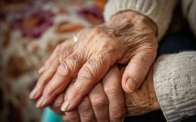 ALMORADÍ PONE EN MARCHA LA CAMPAÑA  “COMIDA SOLIDARIA EN NAVIDAD”