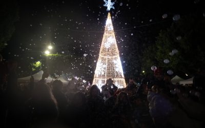 MULTITUDINARIA Y MÁGICA INAUGURACIÓN DE LA XIV FERIA DE NAVIDAD DE ALMORADÍ